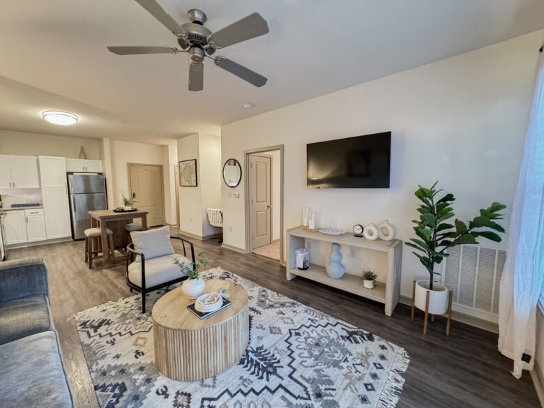 furnished living room